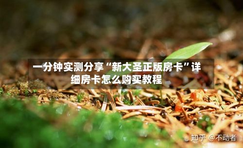 一分钟实测分享“新大圣正版房卡”详细房卡怎么购买教程