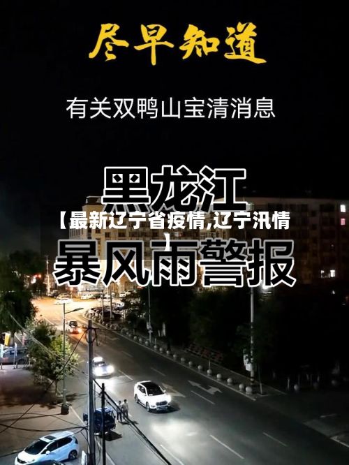 【最新辽宁省疫情,辽宁汛情】-第2张图片