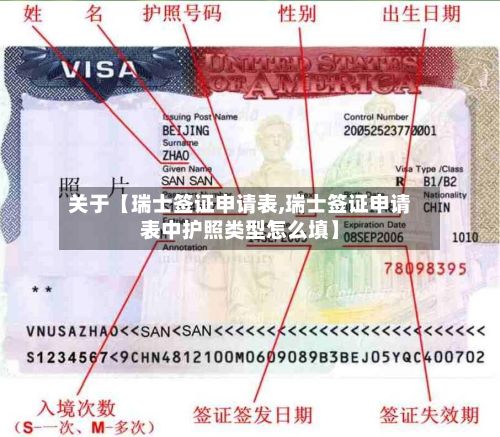关于【瑞士签证申请表,瑞士签证申请表中护照类型怎么填】-第3张图片