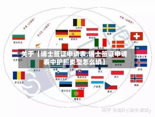 关于【瑞士签证申请表,瑞士签证申请表中护照类型怎么填】-第2张图片