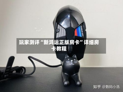 玩家测评“新鸿运正版房卡	”详细房卡教程-第2张图片
