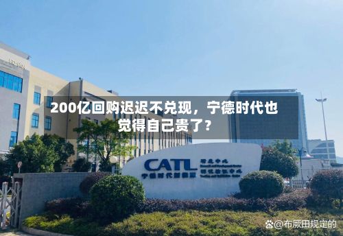 200亿回购迟迟不兑现,宁德时代也觉得自己贵了?