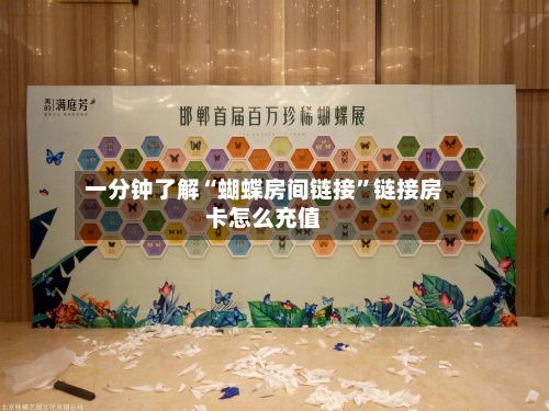 一分钟了解“蝴蝶房间链接”链接房卡怎么充值-第2张图片