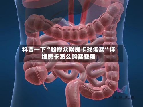 科普一下“超稳众娱房卡找谁买	”详细房卡怎么购买教程-第3张图片
