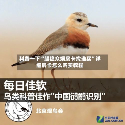 科普一下“超稳众娱房卡找谁买”详细房卡怎么购买教程-第2张图片