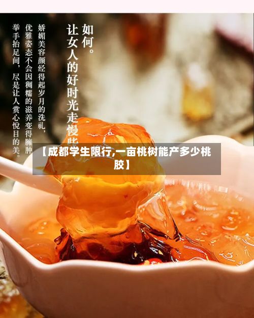 【成都学生限行,一亩桃树能产多少桃胶】
