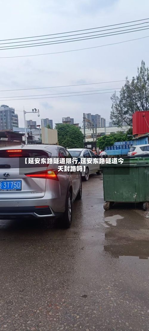 【延安东路隧道限行,延安东路隧道今天封路吗】
