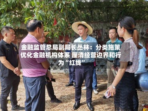 金融监管总局副局长丛林：分类施策优化金融机构体系 厘清经营边界和行为“红线	”-第3张图片