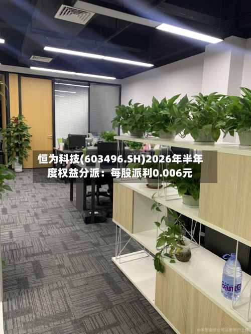 恒为科技(603496.SH)2026年半年度权益分派:每股派利0.006元