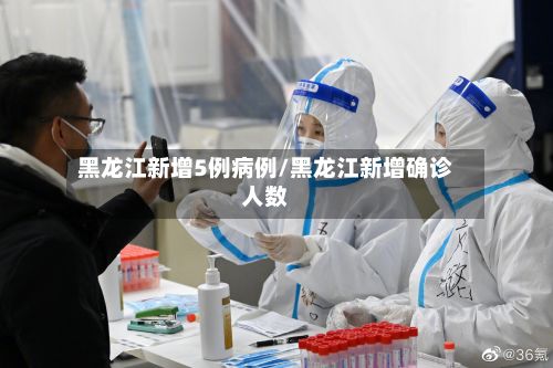 黑龙江新增5例病例/黑龙江新增确诊人数-第2张图片