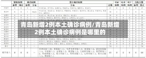 青岛新增2例本土确诊病例/青岛新增2例本土确诊病例是哪里的-第2张图片