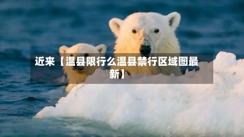 近来【温县限行么温县禁行区域图最新】-第2张图片