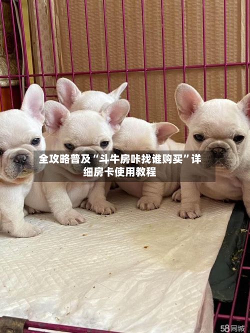 全攻略普及“斗牛房咔找谁购买	”详细房卡使用教程-第3张图片
