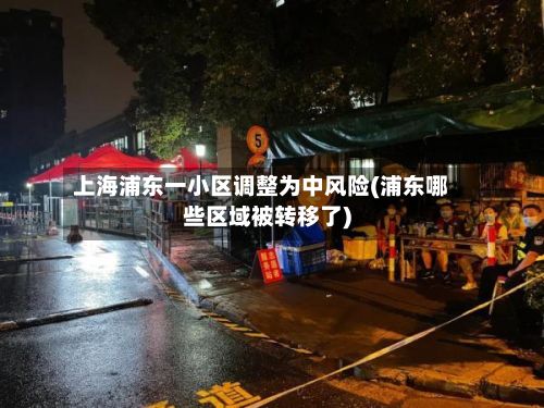 上海浦东一小区调整为中风险(浦东哪些区域被转移了)-第2张图片