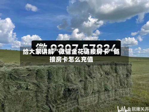 给大家讲解“微信金花链接房卡”链接房卡怎么充值