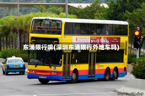 东涌限行嘛(深圳东涌限行外地车吗)-第2张图片