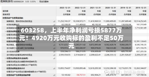 603258,上半年净利润亏损5877万元!4920万元收购标的盈利不足50万元