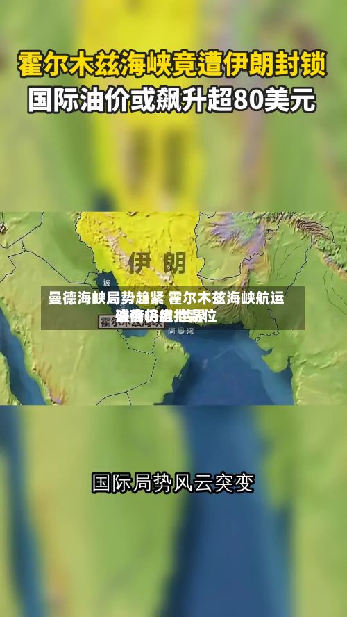 曼德海峡局势趋紧 霍尔木兹海峡航运磋商将启 世界
油价仍维持高位