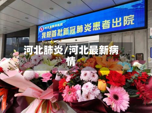 河北肺炎/河北最新病情