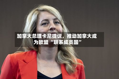 加拿大总理卡尼提议，推动加拿大成为欧盟 “联系成员国”-第3张图片