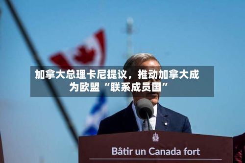 加拿大总理卡尼提议，推动加拿大成为欧盟 “联系成员国”-第2张图片
