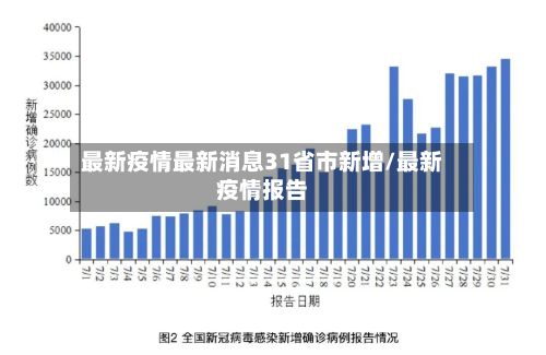 最新疫情最新消息31省市新增/最新疫情报告-第2张图片