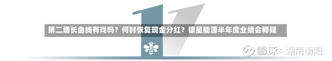第二增长曲线有戏吗?何时恢复现金分红?银星能源半年度业绩会释疑-第2张图片