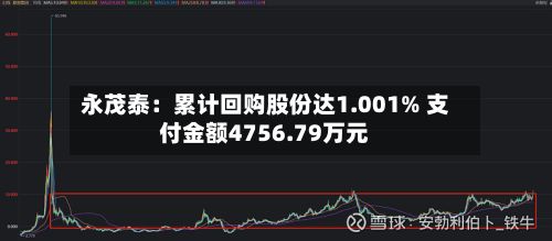 永茂泰:累计回购股份达1.001% 支付金额4756.79万元-第2张图片