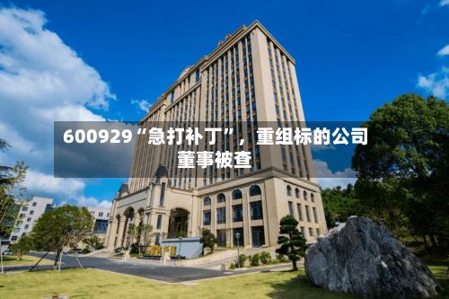 600929“急打补丁	”，重组标的公司董事被查-第2张图片