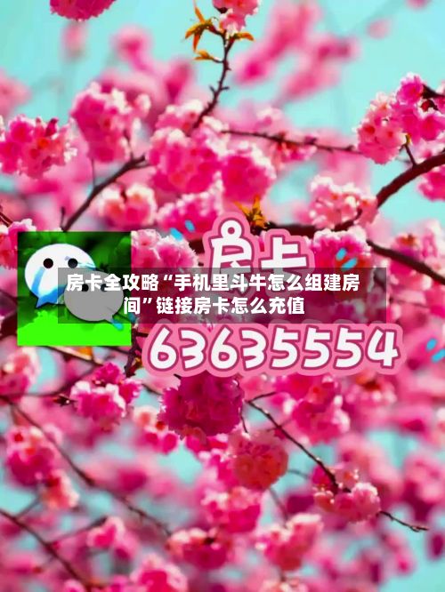 房卡全攻略“手机里斗牛怎么组建房间”链接房卡怎么充值-第3张图片