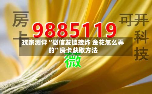 玩家测评“微信发链接炸 金花怎么弄的”房卡获取方法-第3张图片