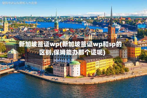 新加坡签证wp(新加坡签证wp和sp的区别,保姆能办那个证呢)