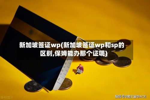 新加坡签证wp(新加坡签证wp和sp的区别,保姆能办那个证呢)-第2张图片
