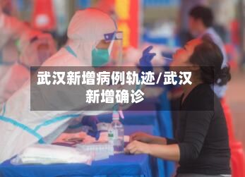 武汉新增病例轨迹/武汉新增确诊-第2张图片