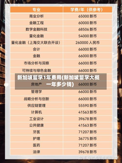新加坡留学1年费用(新加坡留学大概一年多少钱)-第2张图片