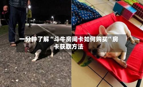 一分钟了解“斗牛房间卡如何购买”房卡获取方法-第2张图片