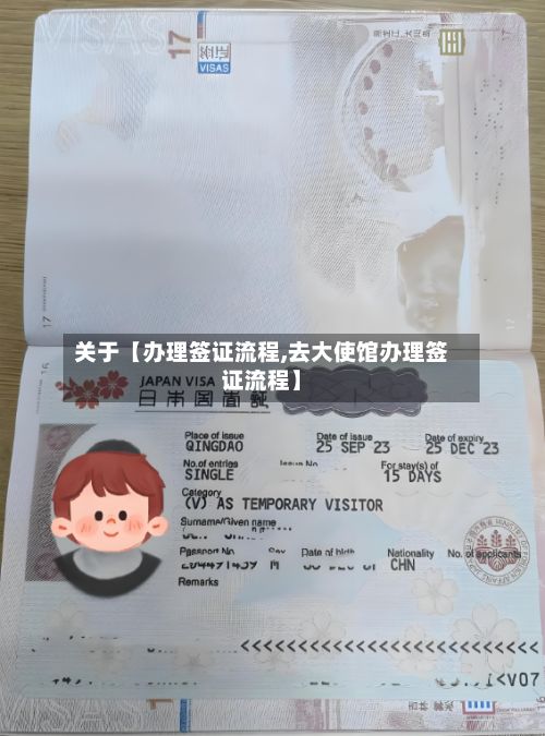 关于【办理签证流程,去大使馆办理签证流程】