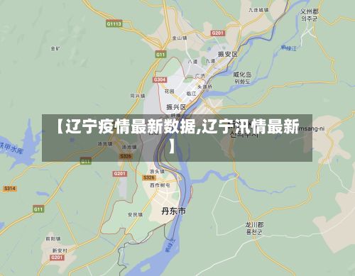【辽宁疫情最新数据,辽宁汛情最新】-第3张图片