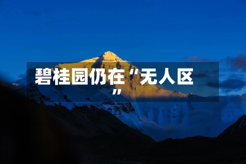 碧桂园仍在“无人区”