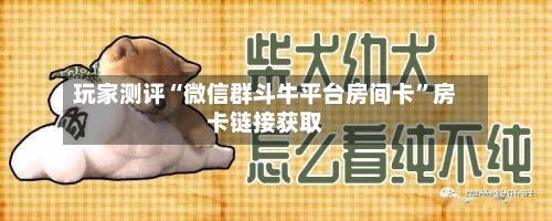 玩家测评“微信群斗牛平台房间卡”房卡链接获取-第2张图片