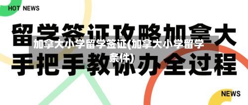 加拿大小学留学签证(加拿大小学留学条件)-第2张图片
