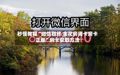 秒懂教程“微信群炸 金花房间卡房卡正版”房卡获取方法