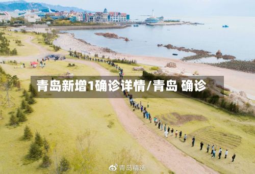 青岛新增1确诊详情/青岛 确诊-第2张图片