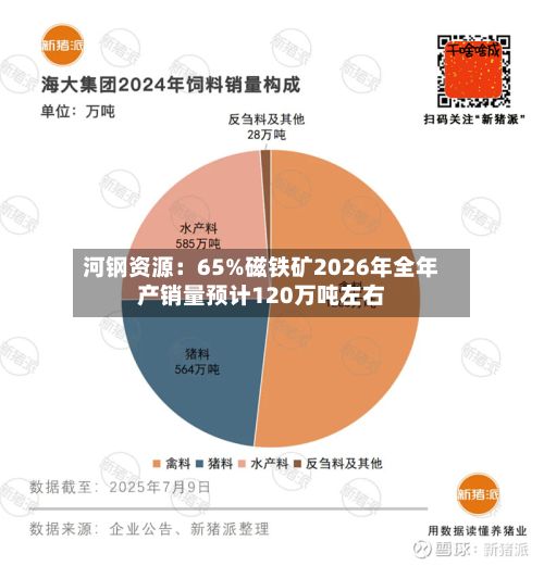 河钢资源:65%磁铁矿2026年全年产销量预计120万吨左右