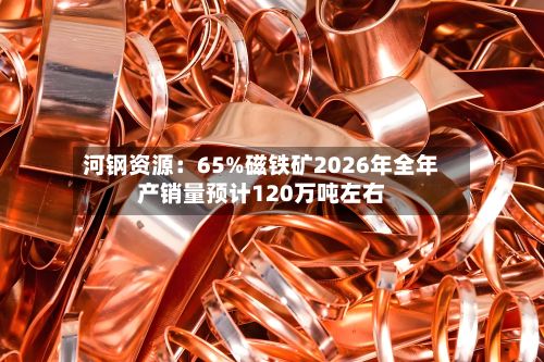河钢资源:65%磁铁矿2026年全年产销量预计120万吨左右-第2张图片