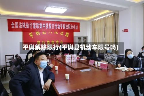平舆解除限行(平舆县机动车限号吗)