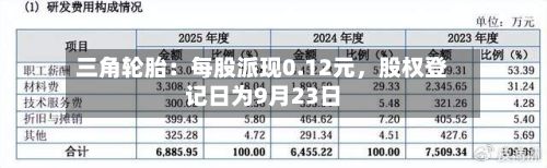 三角轮胎：每股派现0.12元，股权登记日为9月23日-第2张图片