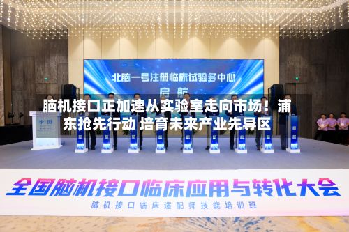 脑机接口正加速从实验室走向市场！浦东抢先行动 培育未来产业先导区