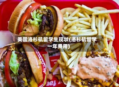 美国洛杉矶留学生现状(洛杉矶留学一年费用)