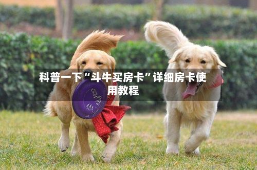 科普一下“斗牛买房卡”详细房卡使用教程-第3张图片